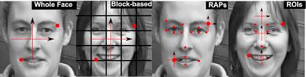 Automatic Analysis of Facial Actions: A Survey