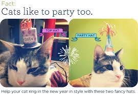 How To Make Two Tiny Festive Hats For Your Cat Hat For Cat Hats For Cats Cat Party