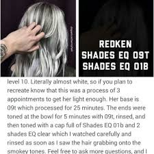Redken Hair Color Chart Shades Eq New Redken Shades Eq 9t