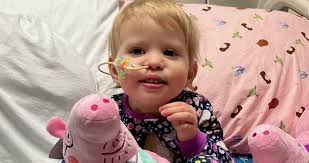 Winter storm cancels blood drives, causes blood shortage