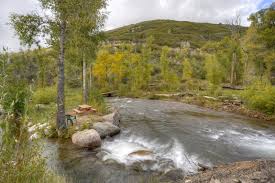 Register with us to save your favorite durango listings and get email notifications when similar properties come to market. Riverside Fishing Cabin Near Durango Colorado Tripadvisor Holiday Home In Hesperus
