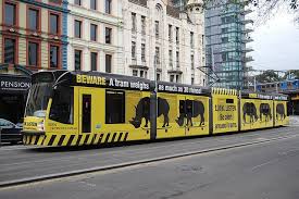 D2 5004 Yarra Trams Beware The Rhino Pedestrian Safety Campaign Pedestrian Safety Pedestrian Melbourne
