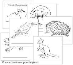 Animals Of The Continents Booklet 6 Animals And Continent Outline For Each Of The 7 Continents Montessori Geography Montessori Homeschool Social Studies