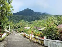 The rainbow losmen near tamako the rainbow losmen in tamako on sangihe besar is a basic, but from my own experiences. Tahuna