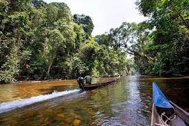 There are 5 ways to get from taman negara to kuala lumpur by bus, bus and ferry, taxi or car. 3 Tagiges Dschungelerlebnis In Taman Negara Von Kuala Lumpur 2021