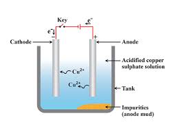 Solved: Which Of The Following Is Not True About Purification Of Metals? A.  The Anode Is Made Up O [Chemistry]