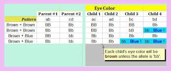 Eye Color Chart For Kids Bedowntowndaytona Com