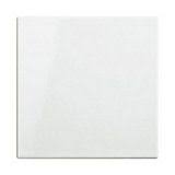 Carrelage Mur Blanc 20 X 20 Cm Bianco Vendu Au Carton