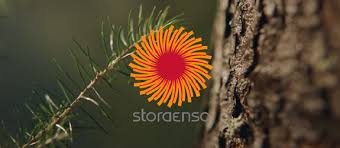 Stora enso to host treetotextile's demonstration plant for sustainable textile fiber. What To Do In An Increasingly Paperless Society Stora Enso Adapts And Innovates With 3 Big Announcements On Being Fit For The Future Biofuels Digest