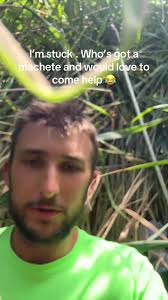 The dream of surveying #surveying #kurtthesurveyor #bluecollar #wood  #outdoors #beargrylls