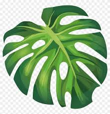 Pin By Clara Montero Lopez On Design Watercolors Banana Leaf Monstera Leaf Leaf Clipart