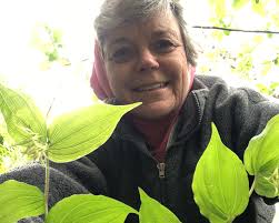 St. John's Faithful Response to the 1918 Influenza Epidemic