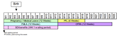 Fmla Cfra Pdl Chart Related Keywords Suggestions Fmla