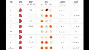 Blood Typing Chart Who You Can Donate And Receive From