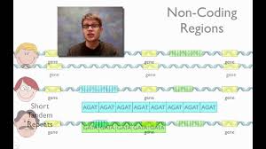 A dna paternity test is considered the gold standard by both the scientific and legal communities when it comes to accurately establishing a relationship between a possible father and a child. Dna Fingerprinting Youtube