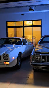 Image result for Light Driftwood 1987 Pontiac