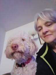 Christmas puppy! 🐾🎄