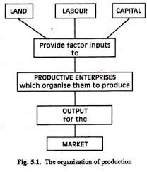 Some tertiary economic activities are transportation, insurance, advertising, storage, sales, among others. Production Meaning Definition Types And Factors