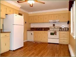 Diy Plywood Kitchen Cabinets Clean Kitchen Cabinets Plywood Kitchen Diy Cabinets