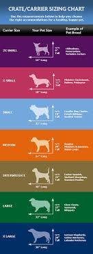 sizing chart for crate dog treats dog crate sizes dog