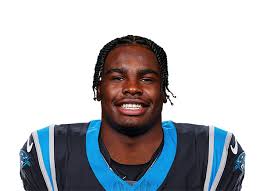 Image result for Hubbardochloa