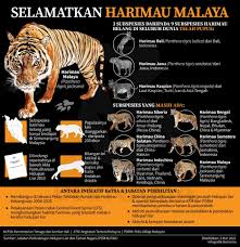 Untuk melihat detail lagu harimau malaya klik salah satu judul yang cocok, kemudian untuk link download. Bernama Tv Infografik Selamatkan Harimau Malaya Facebook