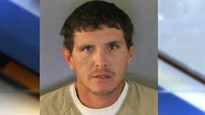 Live alligator found in cooler during Florida traffic stop