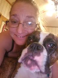 Introduction of a new boxer puppy