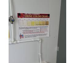 Hydration Colour Chart Best Practice Hub