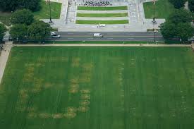 Large etchings of numbers signaling opposition to Trump appear on National Mall