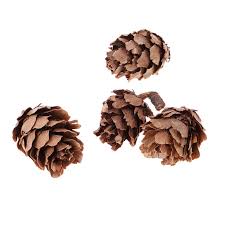 Mini dried flowers for cupcakes. Celebrations Occasions 180pcs Mini Small Natural Dried Pine Cone Dried Flowers For Decoration Craft Home Furniture Diy