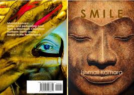 Boekscout Auteursblog