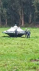 Máy bay không người lái lạ ở New Jersey và Pennsylvania | TikTok