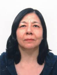 Directorio de Recursos Humanos afines a la CTI