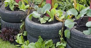 Pin Auf Tyres