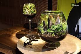 Aquarium cantik,aquarium mini,aquarium unik,aquarium kaca,rumah ikan,aquascape,tumbuhan 1.aquarium mini balok rp 179.000 beli dsini bit.ly/30iczn3 2.aquarium elips rp beli disini 190.000. 6 Aquarium Mini Unik Sebagai Rumah Ikan Hias Kesayanganmu Dekoruma Com Line Today