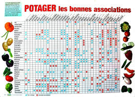 Liste Indicative Des Associations De Legumes Au Potager A Experimenter Plante Association Favorable Asso Association De Legumes Potager Association Potager