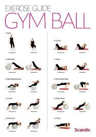 Gym Ball Workout Full Body And Balance Ball Exercises Workout Guide Gym Ball