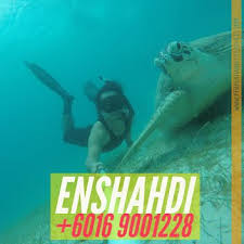 Long Beach Pulau Perhentian Kecil Pakej Cocohut Long Beach Perhentian 2018 Long Beach Beach Fish Pet