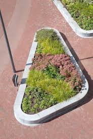 Best Garden Design Ideas Instagram Scarletsworlds Landscape Architecture Plants Landscape Design