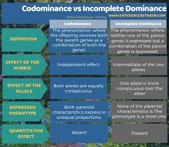 Codominance, in genetics, phenomenon in which two alleles are expressed to an equal degree within an organism. Difference Between Codominance And Incomplete Dominance Compare The Difference Between Similar Terms