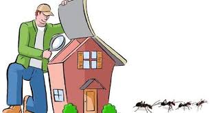 Building and pest inspectors will assess the overall condition of your property and look for issues that will require repairs and/or better maintenance. Why Have Building And Pest Inspection When Buying A House Lost Virtual Tour