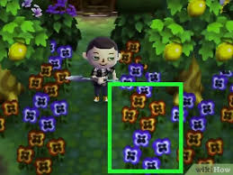 To get new flowers you have to use cross pollination on plants red tulip(p) + orange tulip(h) = red tulip seed(common), yellow tulip seed(common), pink tulip seed(uncommon), white tulip seed(very. How To Get Blue Roses And Purple Pansies In Animal Crossing New Leaf