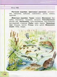 окружающий мир 3 класс плешаков учебник читать онлайн 1 часть Uchebnik Okruzhayushij Mir 3 Klass Pleshakov Novickaya Chast 1 Chitat Onlajn Uchebnik Mir Klass