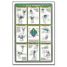 algra fitnus chart series back workout 22 95 fitness