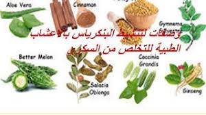التغذية والصحة وصفة تنشيط البنكرياس بالاعشاب الطبية للتخلص من الس Green Beans Natural Treatments Food