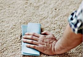 Clean up vomit from vinyl, cloth, and plastic interiors. How To Clean Vomit Out Of Carpet Like A Pro Pro Housekeepers