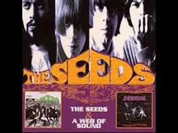 The Seeds Can T Seem To Make You Mine Youtube Mit Bildern Musik