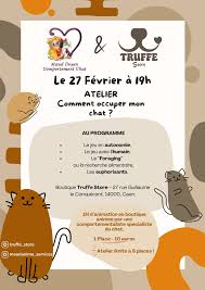 Maud Doyen | Comportementaliste spécialiste du chat | Comportement Chat Caen