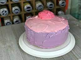 The first step in making an animal cell cake is baking the actual cake portion. How To Make An Edible Cell Model Weird Unsocialized Homeschoolers